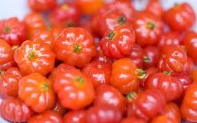 Pitanga