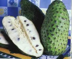 Graviola