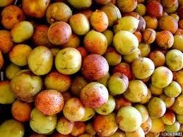Mangaba