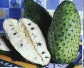 Graviola